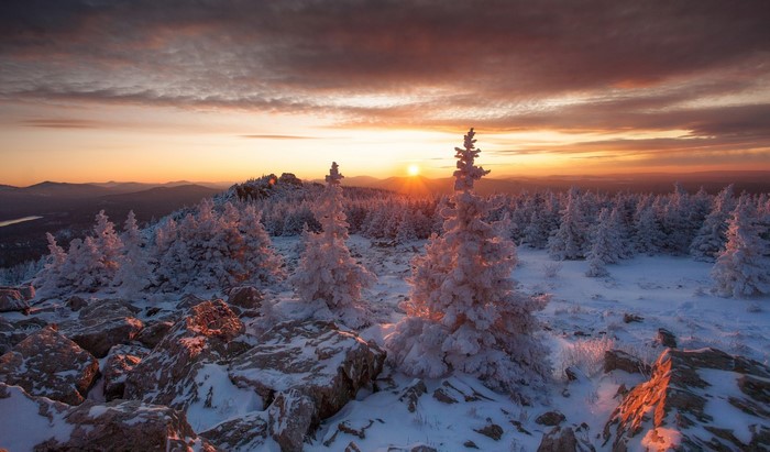 Snow-covered trees at sunset in Russia