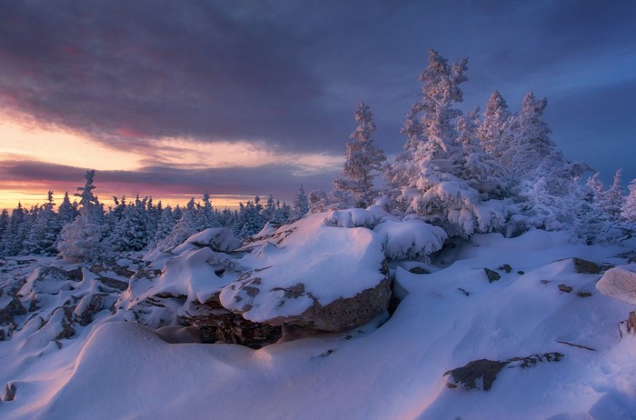 Snow-covered trees on a rocky mountain during sunset