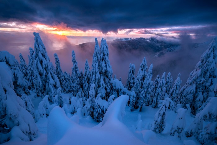 Snow-covered trees at sunset with dramatic clouds