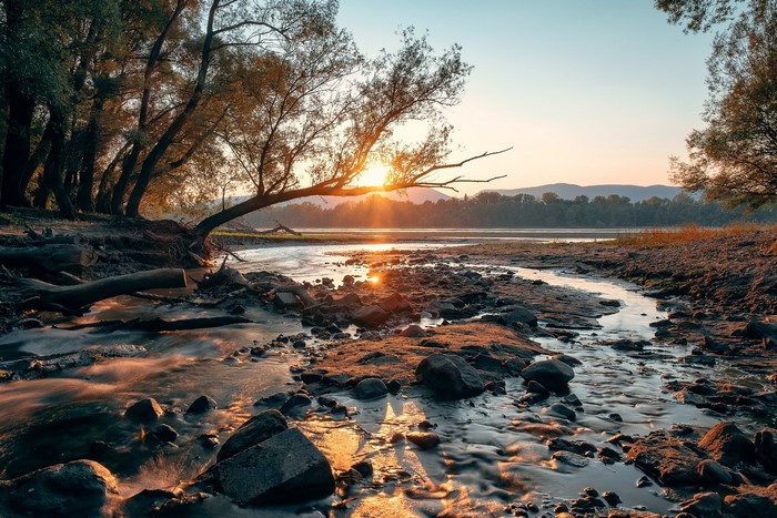 Sunrise over a rocky riverbank with trees