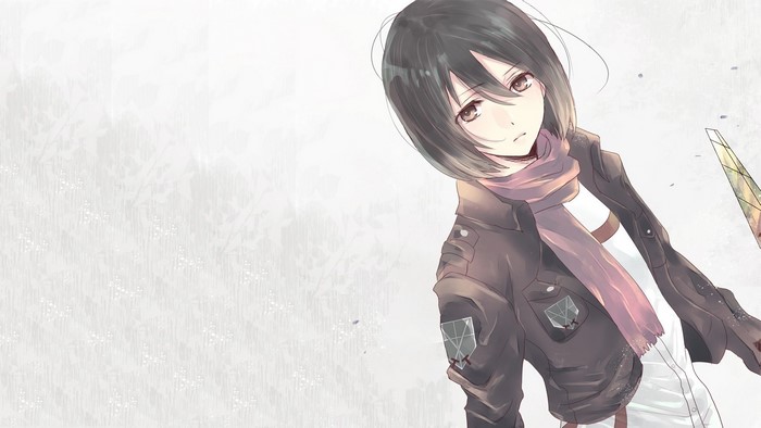 Mikasa Ackerman from Attack on Titan