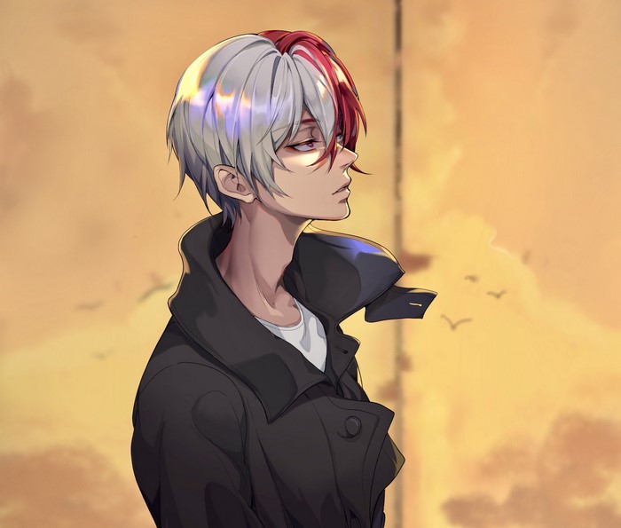Shoto Todoroki from Boku no Hero Academia