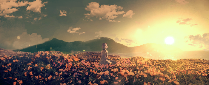 Anime girl in flower field at sunset