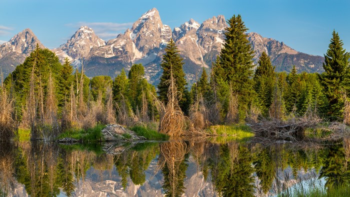 4K Snow Mountains Forest Nature Water Landscape