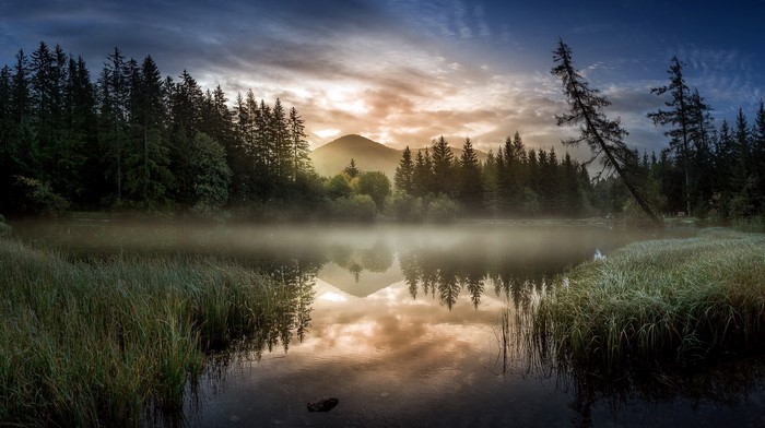 Misty lake with pine forest and mountains at sunrise