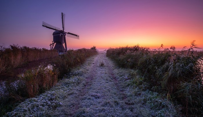Windmill in Netherlands at sunrise with frost