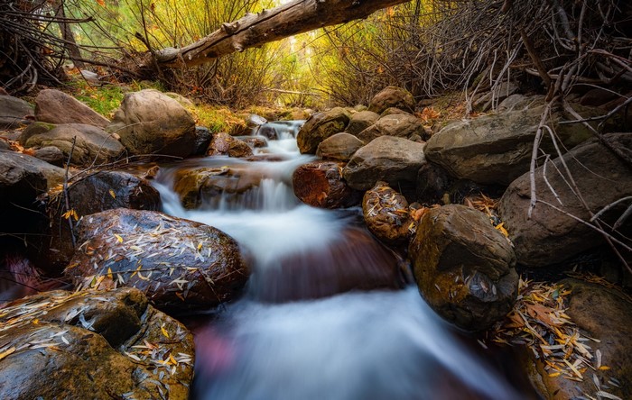 Stream flowing over rocks in a forest during fall