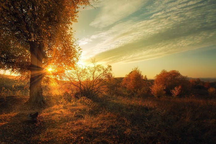 Autumn landscape with sunbeams through trees