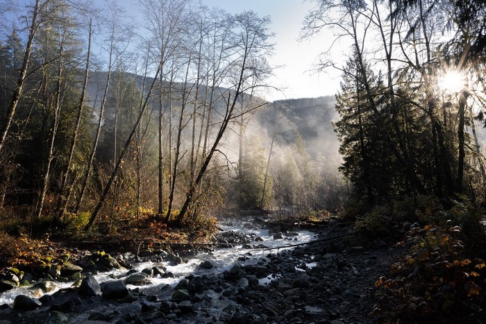 Misty river flowing through a forest in autumn