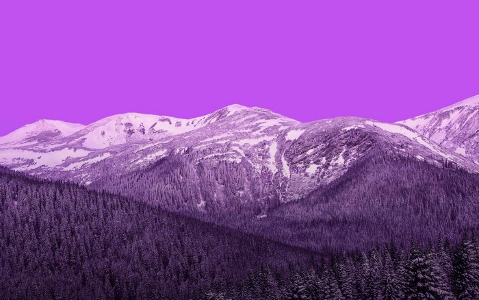 Purple mountains with snow and pine forest
