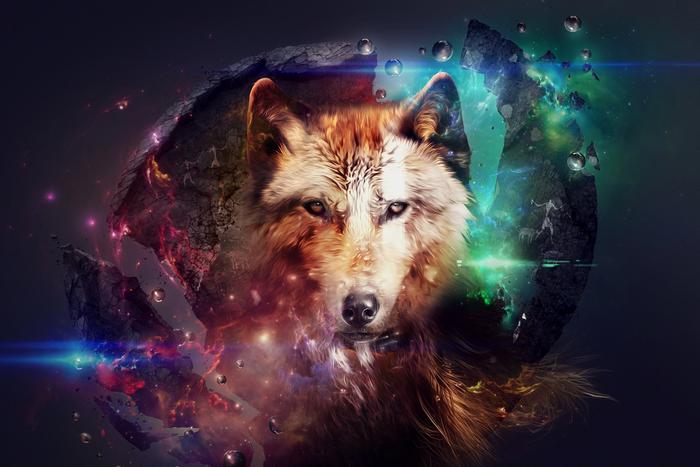 Wolf in space with floating rocks