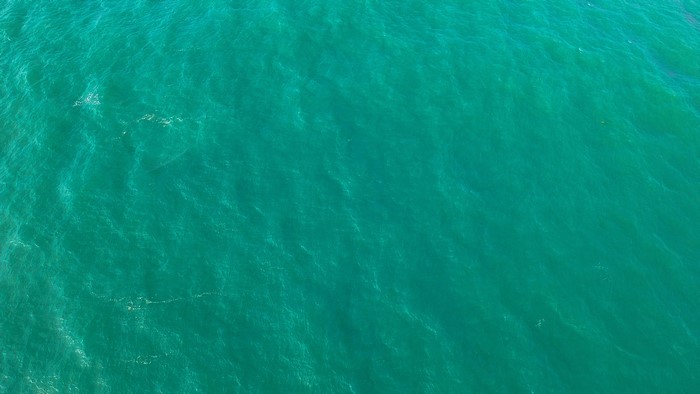 4K Ocean View