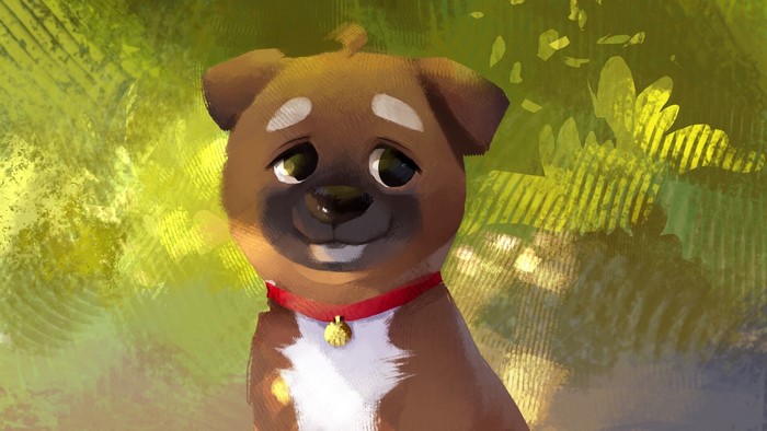 Brown puppy with red collar and bell