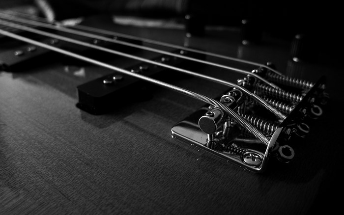 Close-up of a bass guitar bridge and strings