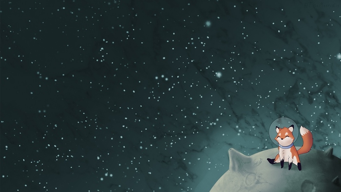 The Little Fox in Space
