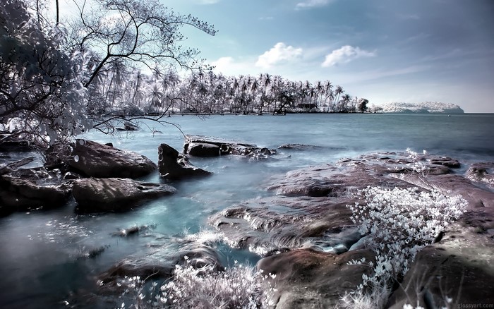 Infrared tropical beach with palm trees and rocks