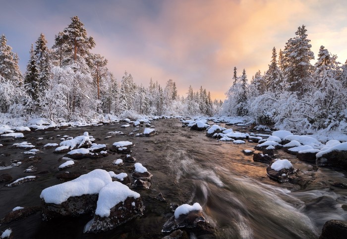Snow-covered forest along a flowing river in Russia