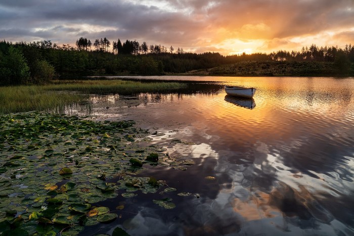 Boat on a lake at sunset with lily pads