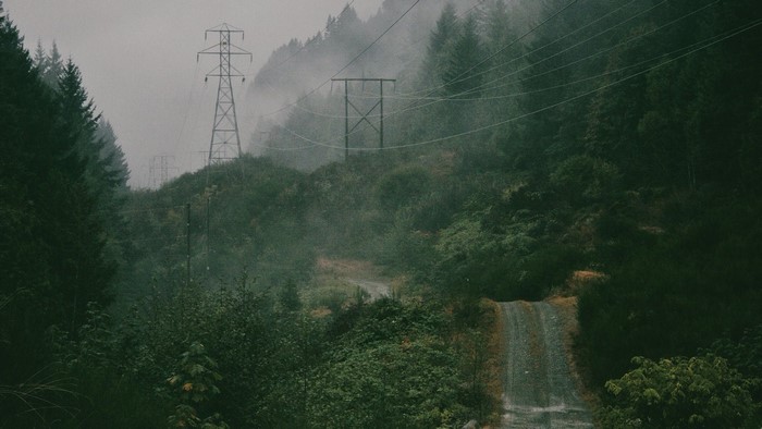Misty forest with power lines and a dirt road
