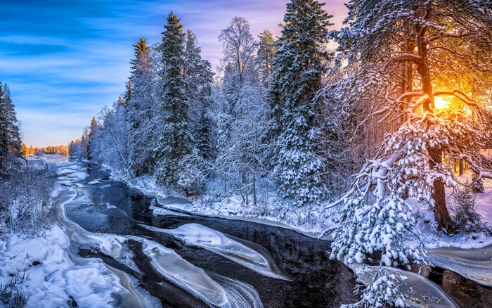 Sunrise over a snow-covered forest and river