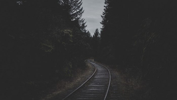Dark Forest Railroad Track Landscape