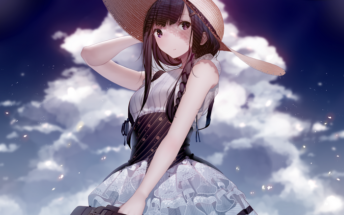Anime girl with braided hair and straw hat in the clouds