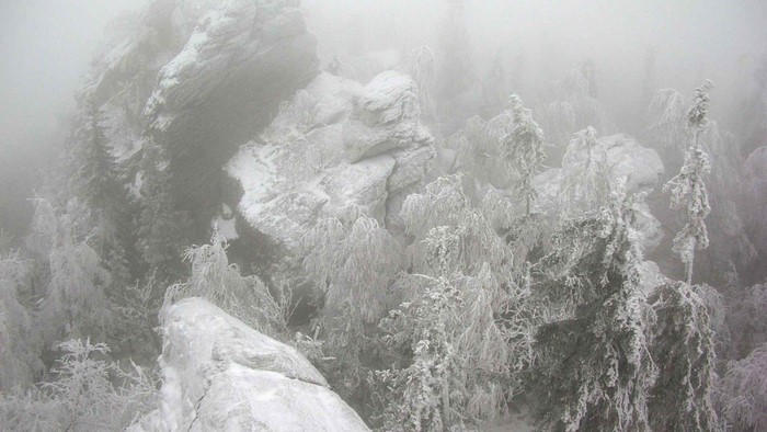 Winter forest in mist with snow-covered rocks and trees