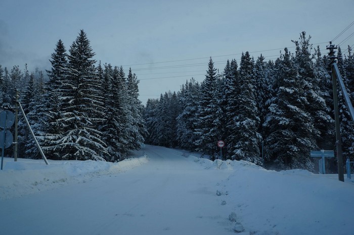 Winter forest road in Russia