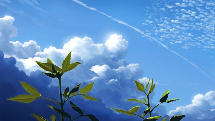 Anime landscape with plants and clouds