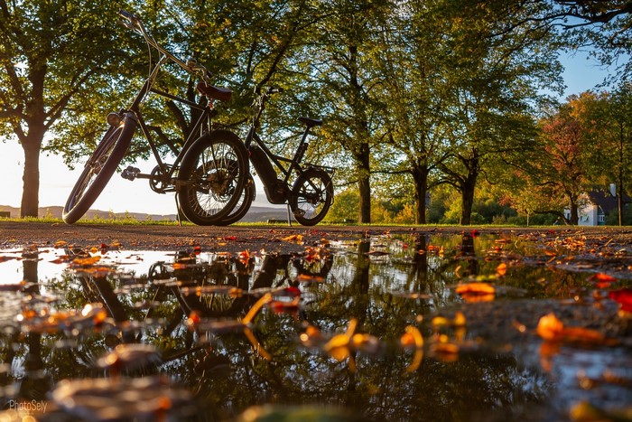 Two bicycles parked near a puddle with fallen leaves