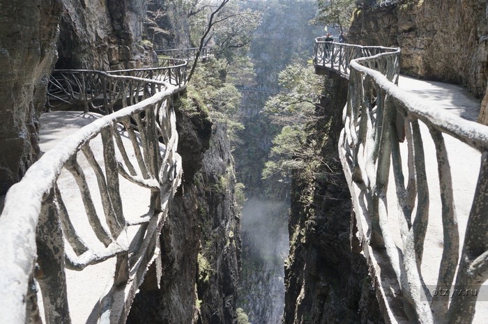 Cliffside walkway in a mountain gorge with trees