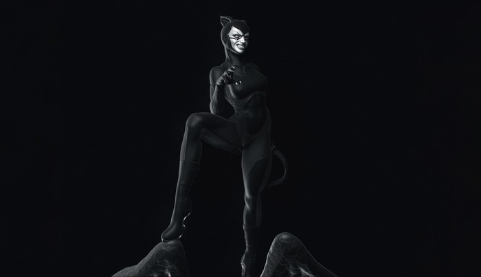 Catwoman from Batman standing on rocks