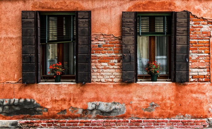 Two windows with flowers on a weathered brick wall
