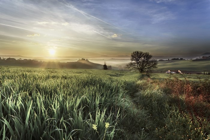 Tuscan Landscape at Sunrise with Rolling Hills and Fields