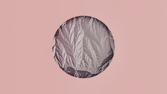 Textured Circle on Pastel Background