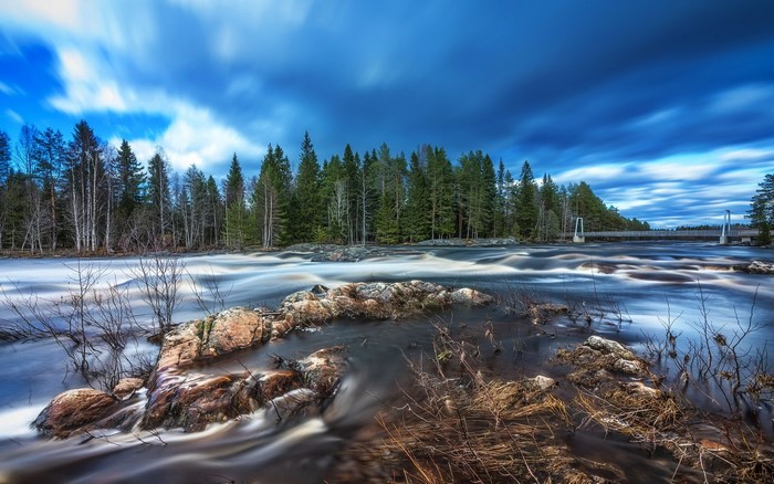 River flowing through a forest with a bridge in the distance