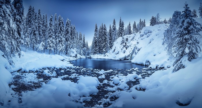 Snowy forest with a river in winter