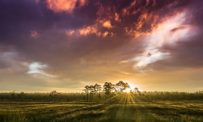 Sunrise over a Finnish bog with trees and clouds