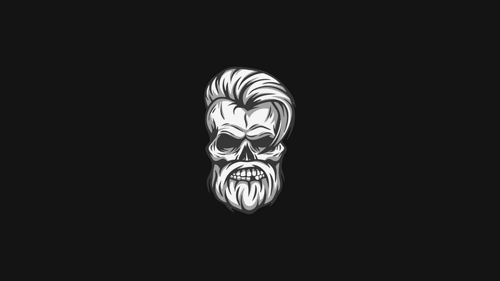 Skull with beard and hairstyle
