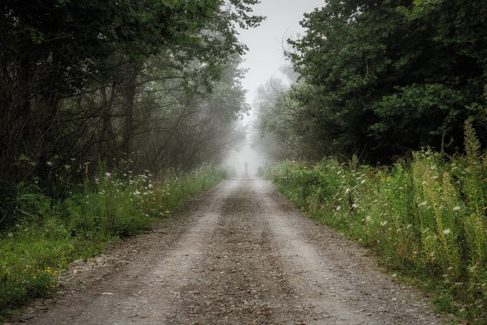 Dirt road through a foggy forest with a distant figure
