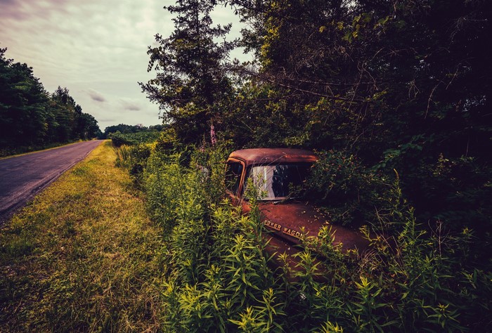 Abandoned Power Wagon truck overgrown with plants