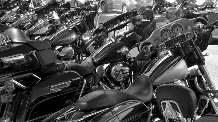Harley Davidson motorcycles parked in a row