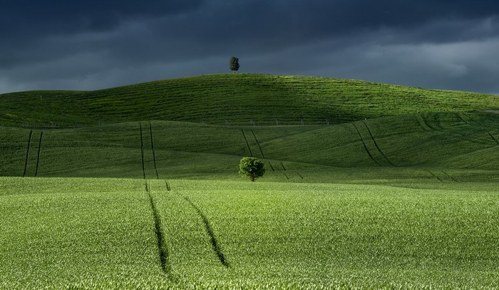 Green rolling hills with trees under dark clouds