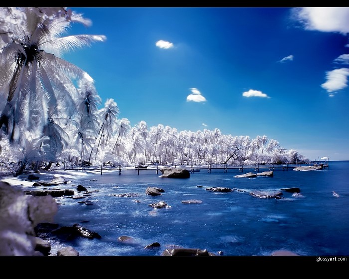 Infrared view of a tropical island with palm trees and a pier