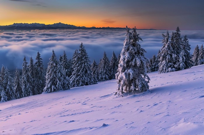 Snowy mountain landscape with fir trees and clouds at sunset