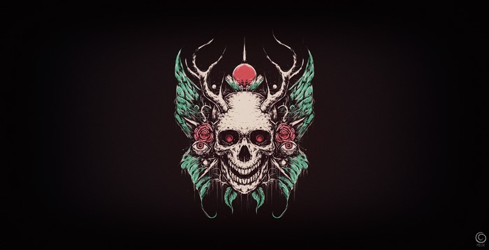 Skull with Antlers and Roses Artwork