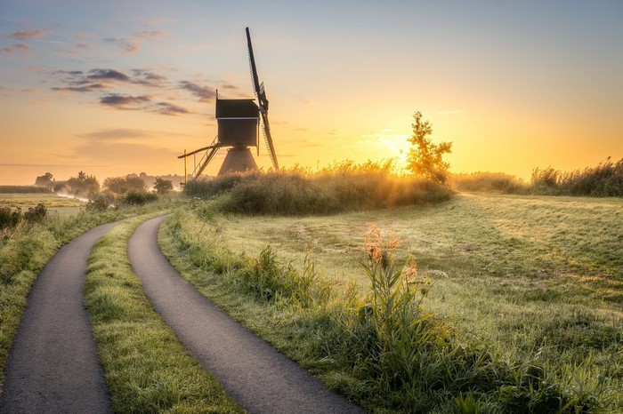 Windmill in a field at sunrise