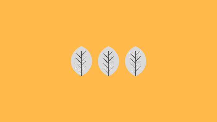 Three stylized leaves on a yellow background
