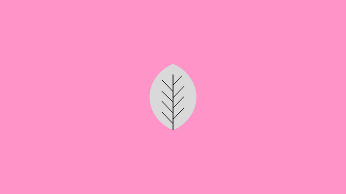 Minimalist leaf illustration on pink background