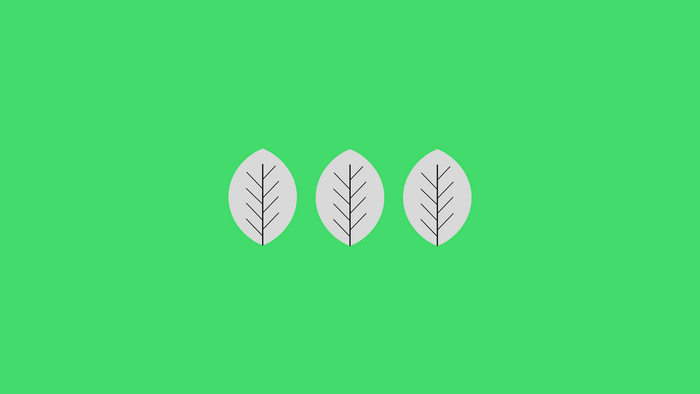 Three stylized leaves on a green background